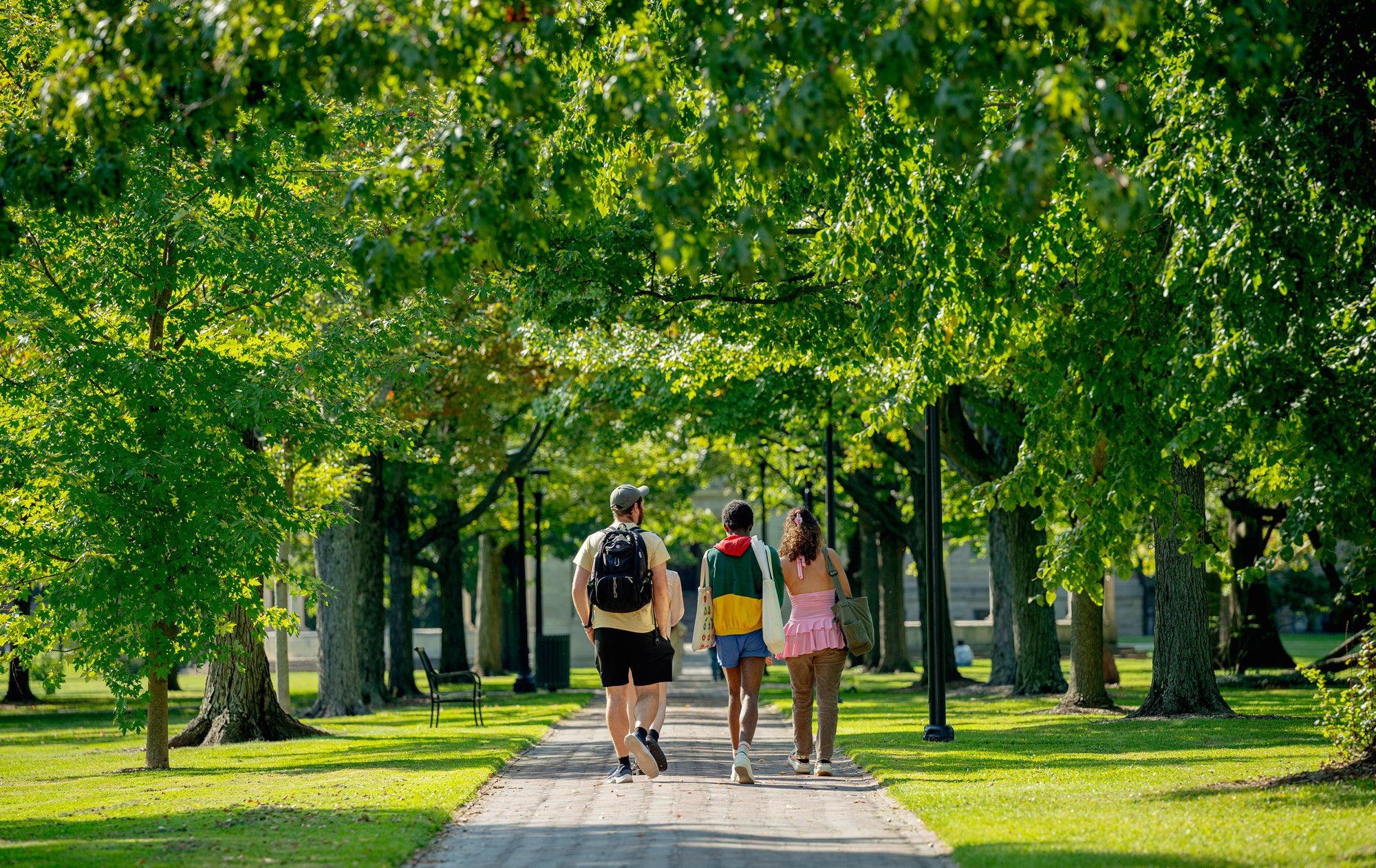 Three students walk through a green tree-lined path.