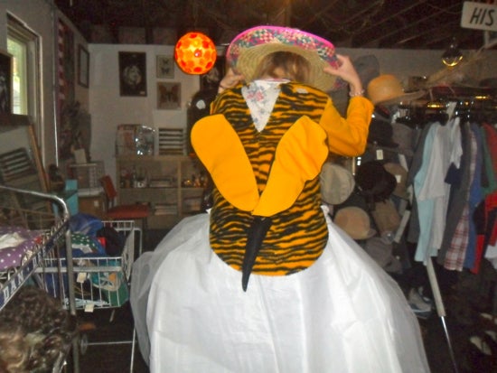 A student holds a tiger themed dress