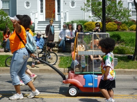 Rabbits in a cage get a ride on a children's wagon