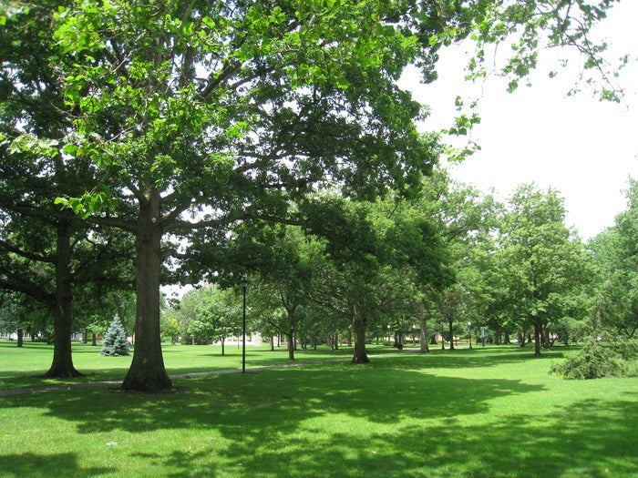 Tappan Square in summer