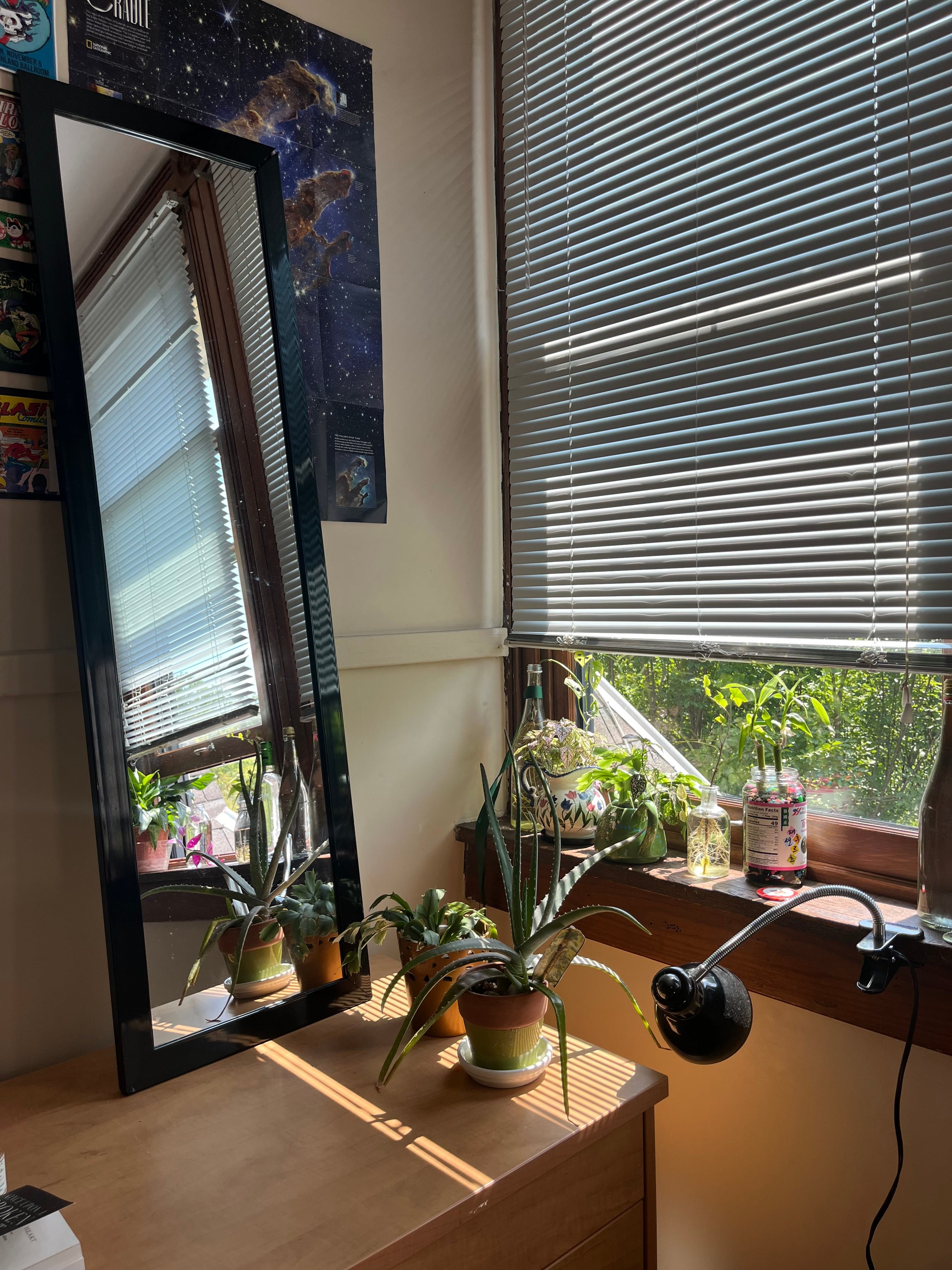 A desk with a mirror and plants