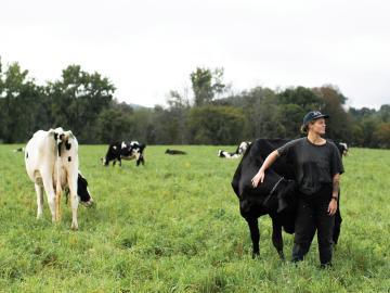 Sarah Lyons Chase in the field with her cows