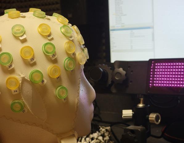 In a neuroscience lab, a mannequin head wears a cap with many circular things attached.