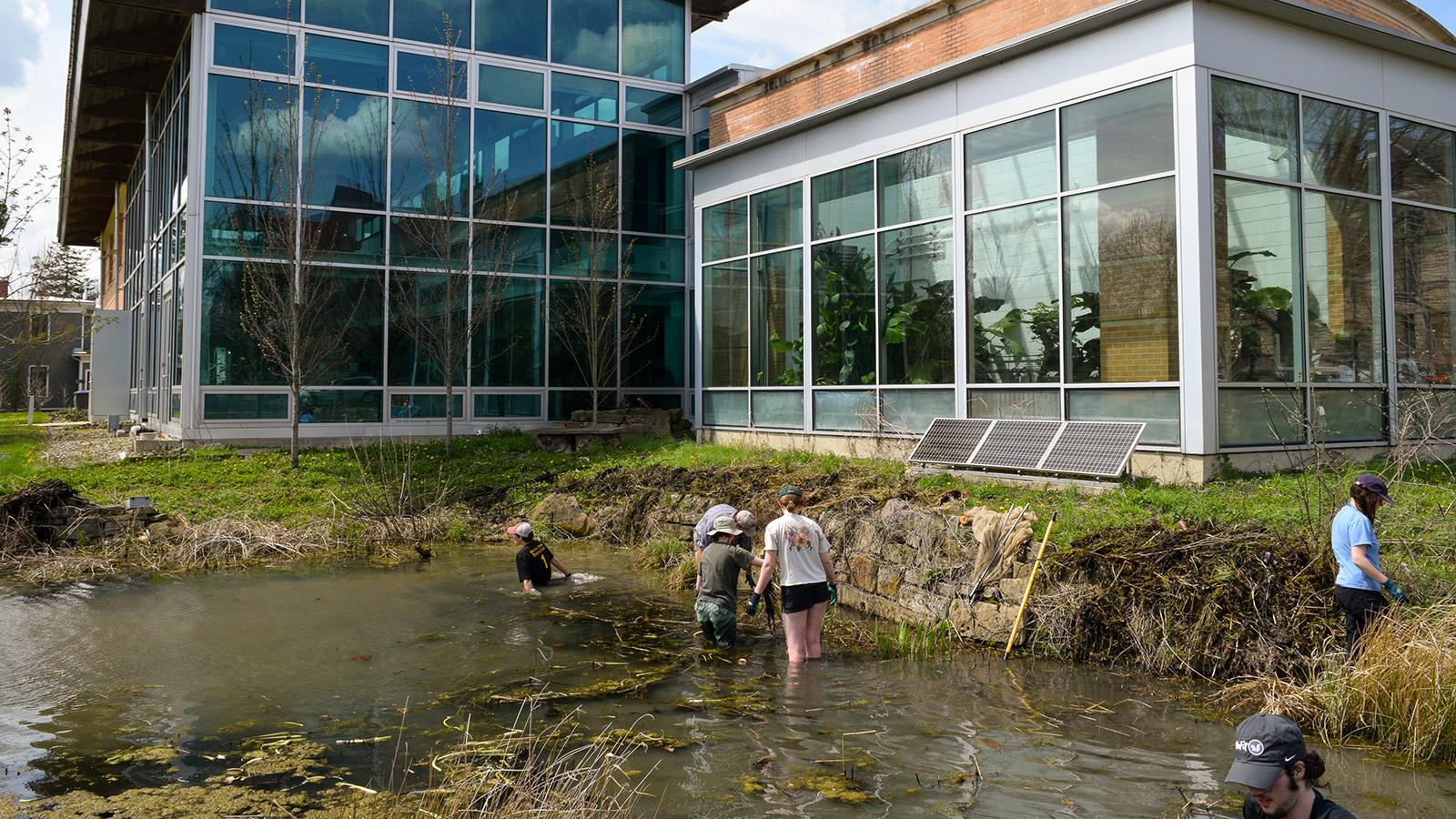 Beside a modern, glass and brick building, several people wade in a grassy pond.