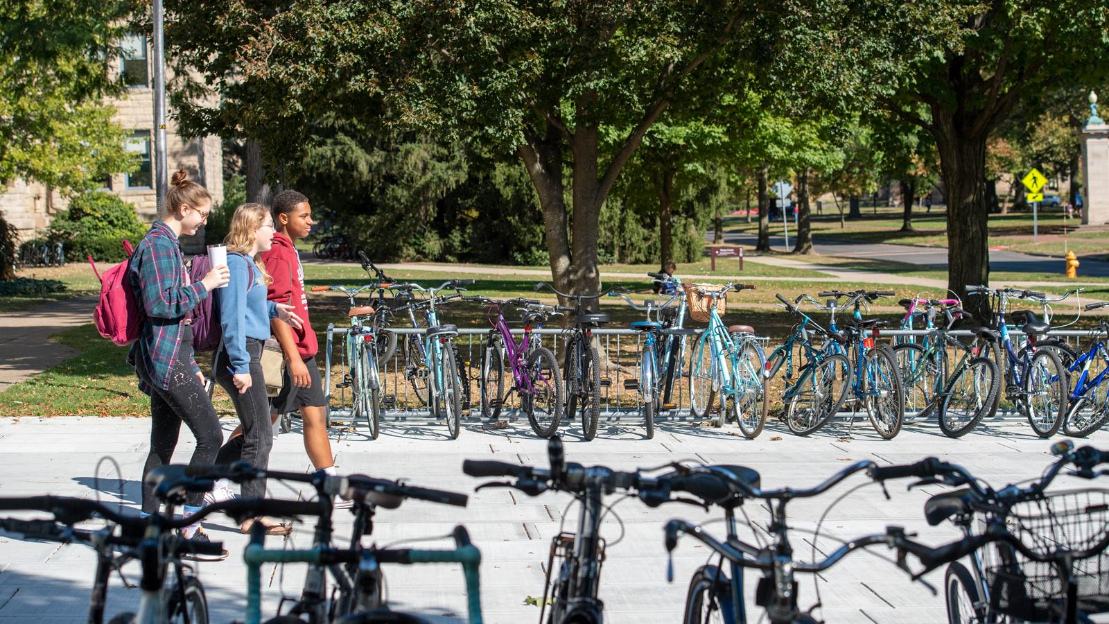 A group of students walks to class.