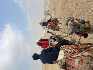 Four Oberlin students on camels with the Pyramids in the background.