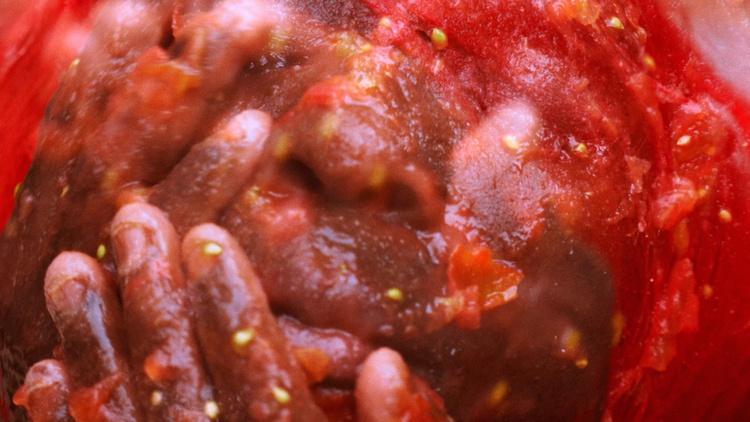 closeup of a person's face covered in smashed fruit