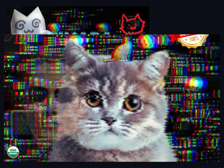 Digitized Cat Image with RGB background