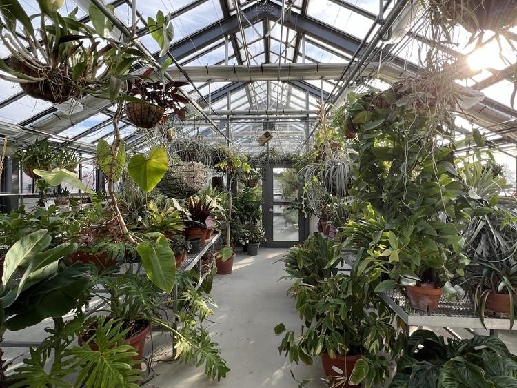 Greenhouse